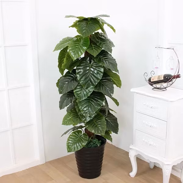  Mặc dù hoa giả và cỏ giả cũng có thể được làm rất chân thực và đẹp mắt, nhưng dù sao chúng cũng không phải là vật sống, không có sức sống mãnh liệt. Theo quan điểm của Phong Thủy, hoa và cây không có sức sống sẽ ảnh hưởng đến sự giàu có và thu hút những điều xấu.