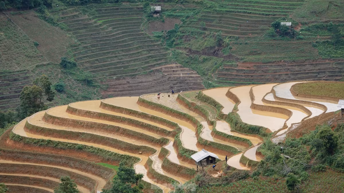 Ve dep ruong bac thang Mu Cang Chai mua nuoc do-Hinh-4
