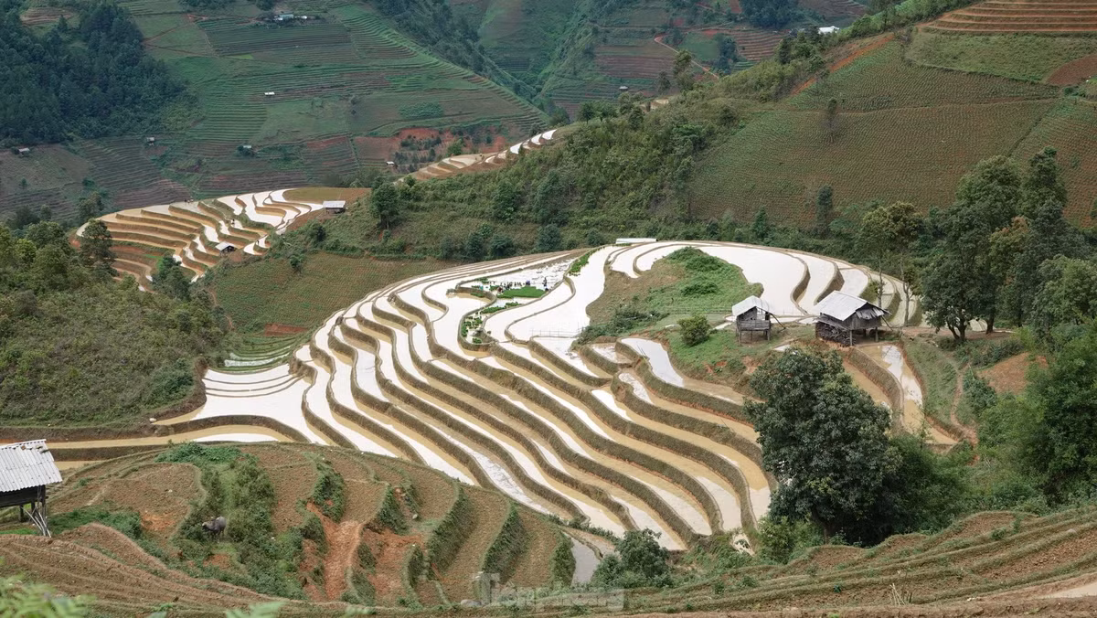 Ve dep ruong bac thang Mu Cang Chai mua nuoc do-Hinh-8