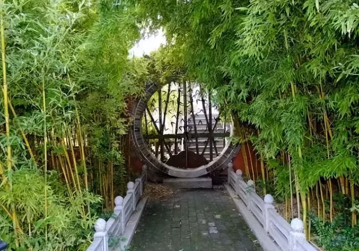 6. Cây cảnh: Tre: Nói đến sự phát triển vũ bão của tre thì không ai là không biết. Bạn trồng vài gốc là sau 4-5 năm chúng sẽ biến thành "tường thành" trong sân nhà bạn. Những gốc măng sẽ theo rễ tre mọc khắp nơi.