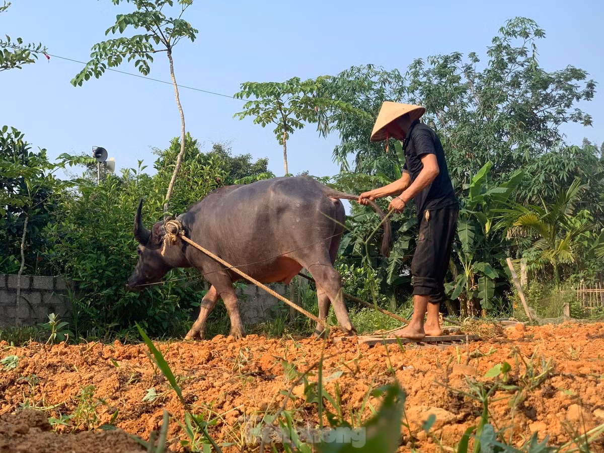 Trong những ngày nắng nóng diện rộng, những người nông dân gắn bó với đồng ruộng lại càng thêm vất vả.