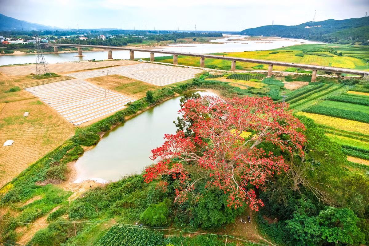 Cầu Hà Nha, dòng Vu Gia và bãi bồi rộng lớn với ruộng vườn của người dân tạo nên khung cảnh tuyệt đẹp nơi đây. Mỗi năm chỉ có một lần vào mùa Xuân, cây gạo nở hoa là dịp để người dân, du khách chiêm ngưỡng vẻ đẹp của thiên nhiên, của đất trời.