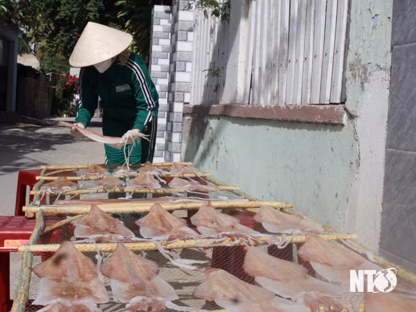 Muc mot nang Ninh Thuan gia ban cao nhat la hon 1 trieu dong/kg