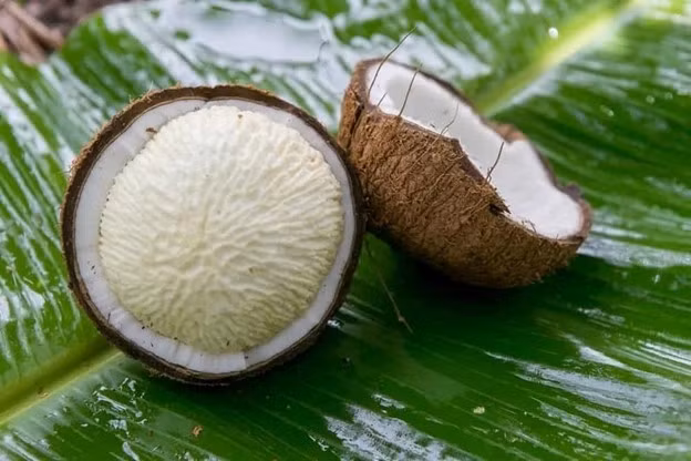 Thuc qua tuoi tho cua bao nguoi Viet, la “sieu thuc pham” bo duong