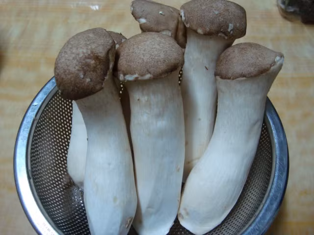 Bạn cũng có thể thử nghiệm bằng sữa bò bằng cách: Cho một lượng nhỏ sữa bò tươi bên trên mũ cây nấm mình nghi ngờ, nếu thấy hiện tượng sữa vón cục, có khả năng nấm này có độc.