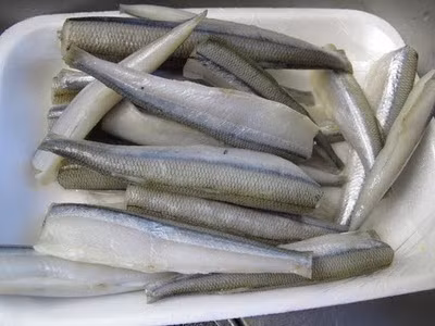 Cá cơm tươi