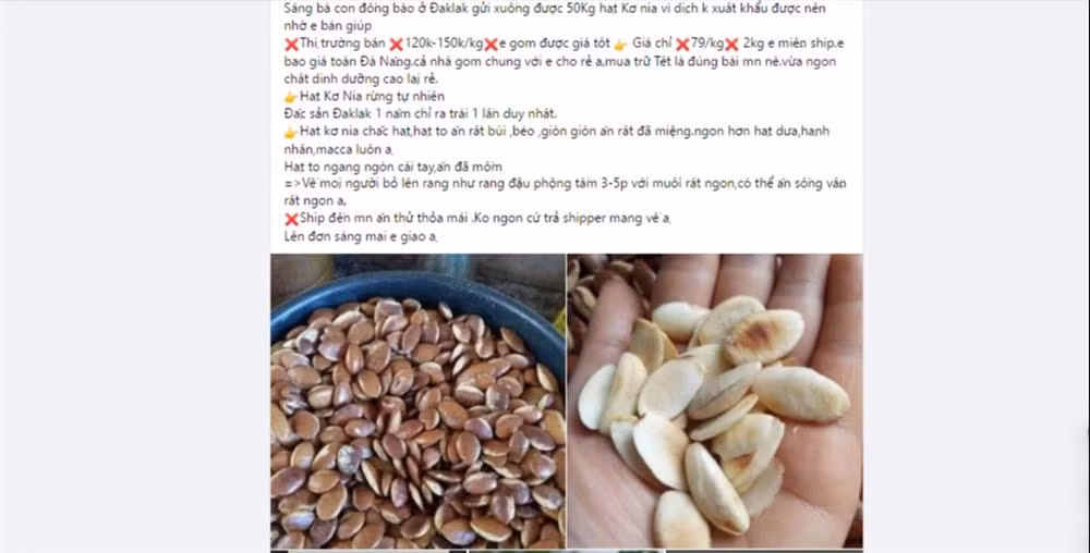 Hat ko nia rang hua hen tro thanh mon doc dai khach dip Tet 2022-Hinh-5