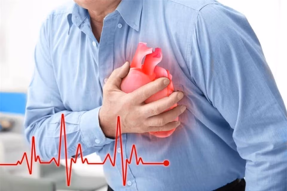 Lợi ích không ngờ khi nuôi cá cảnh trong nhà ảnh 3 Lợi ích không ngờ khi nuôi cá cảnh trong nhà ảnh 3