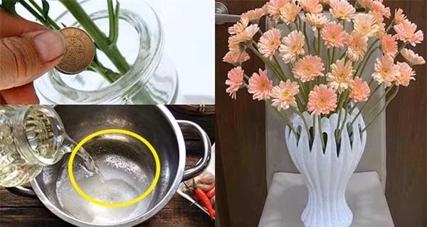 Dùng nước lã cắm hoa là chưa đủ: Thêm thứ này vào hoa tươi roi rói ảnh 1 Dùng nước lã cắm hoa là chưa đủ: Thêm thứ này vào hoa tươi roi rói ảnh 1