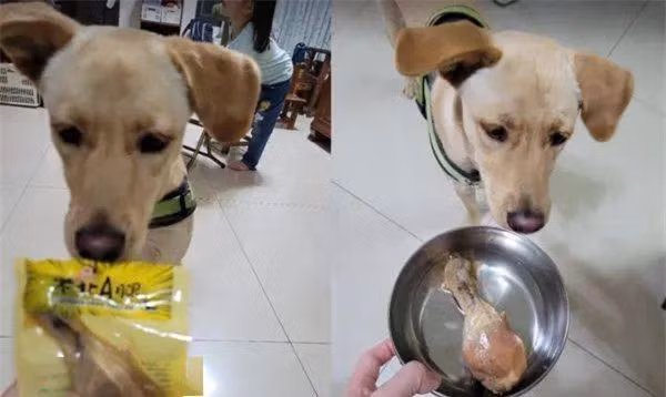 Chó nhà sủa liên hồi, xuống tầng kiểm tra tá hỏa khi thấy 1 thứ - Hình 3 Cho nha sua lien hoi, xuong tang kiem tra ta hoa khi thay 1 thu-Hinh-3