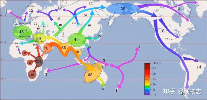 Lam the nao ma nguoi Homo sapiens da danh bai nguoi Neanderthal?-Hinh-4