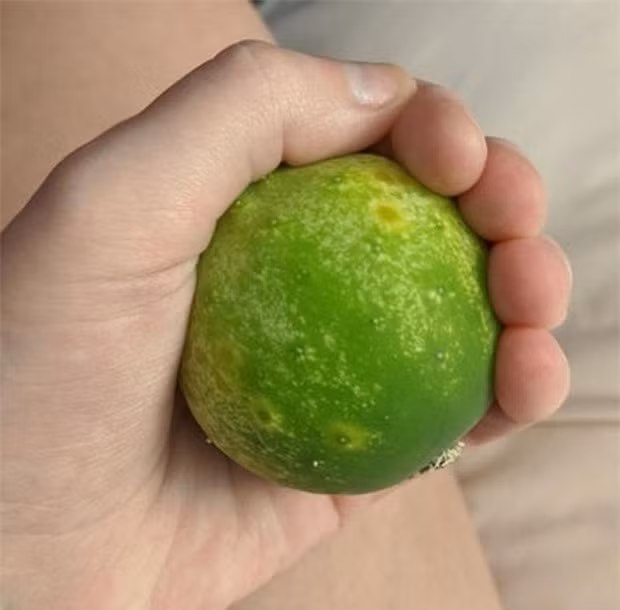 Dân mạng vỡ oà khi phát hiện những loại đồ ăn hình thù độc lạ ảnh 9