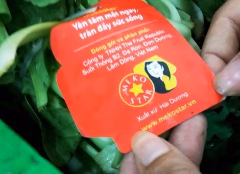 Rau cải chip bán tại Ocean Mart có nguồn gốc được cho là "lừa phỉnh" khách hàng khi ghi được trồng tại Hải Dương, đóng gói ở... Lâm Đồng và phân phối tại Hà Nội.