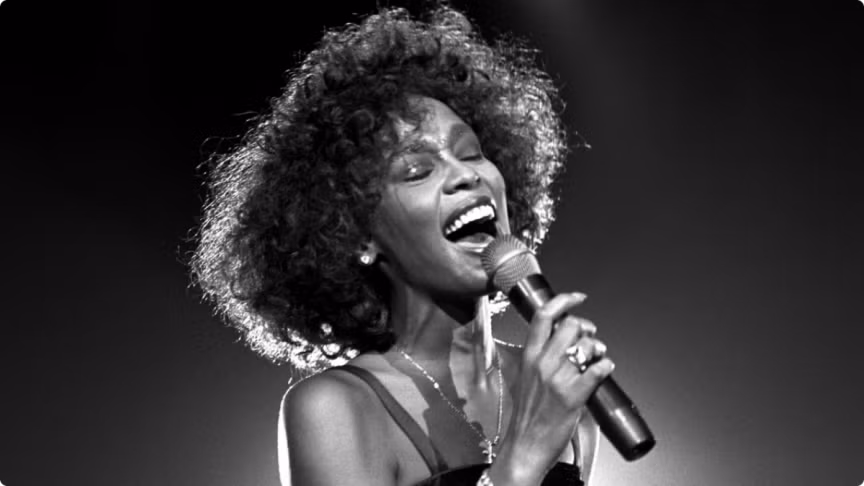 Theo sách kỉ lục Guiness, nữ ca sĩ quá cố Whitney Elizabeth Houston là nữ nghệ sỹ có nhiều cống hiến nhất mọi thời đại. Cô phát hành sáu album phòng thu, một album holiday và 3 ca khúc nhạc phim rtong sự nghiệp âm nhạc của mình. Tất cả những album của Whitney đều đạt được ở đầy đủ các hạng mục kim cương, bạch kim, vàng. Nữ ca sĩ đã bán được hơn 170 triệu bản trên toàn thế giới và sẽ luôn luôn được ghi nhớ như một “Nữ hoàng nhạc pop” của thế giới.