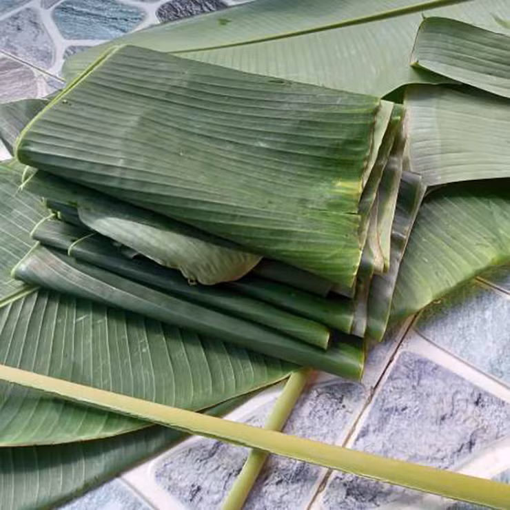 Lá chuối khô dùng để gói các loại bánh gai, bánh gấc còn lá chuối tây để bọc các loại rau xanh, gói giò… Trên thị trường, lá chuối được bán với giá từ 10.000-15.000 đồng/kg.