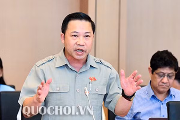 Vu Ho Duy Hai: Buoc toi phai dua vao nguyen tac co ban cua luat hinh su-Hinh-2