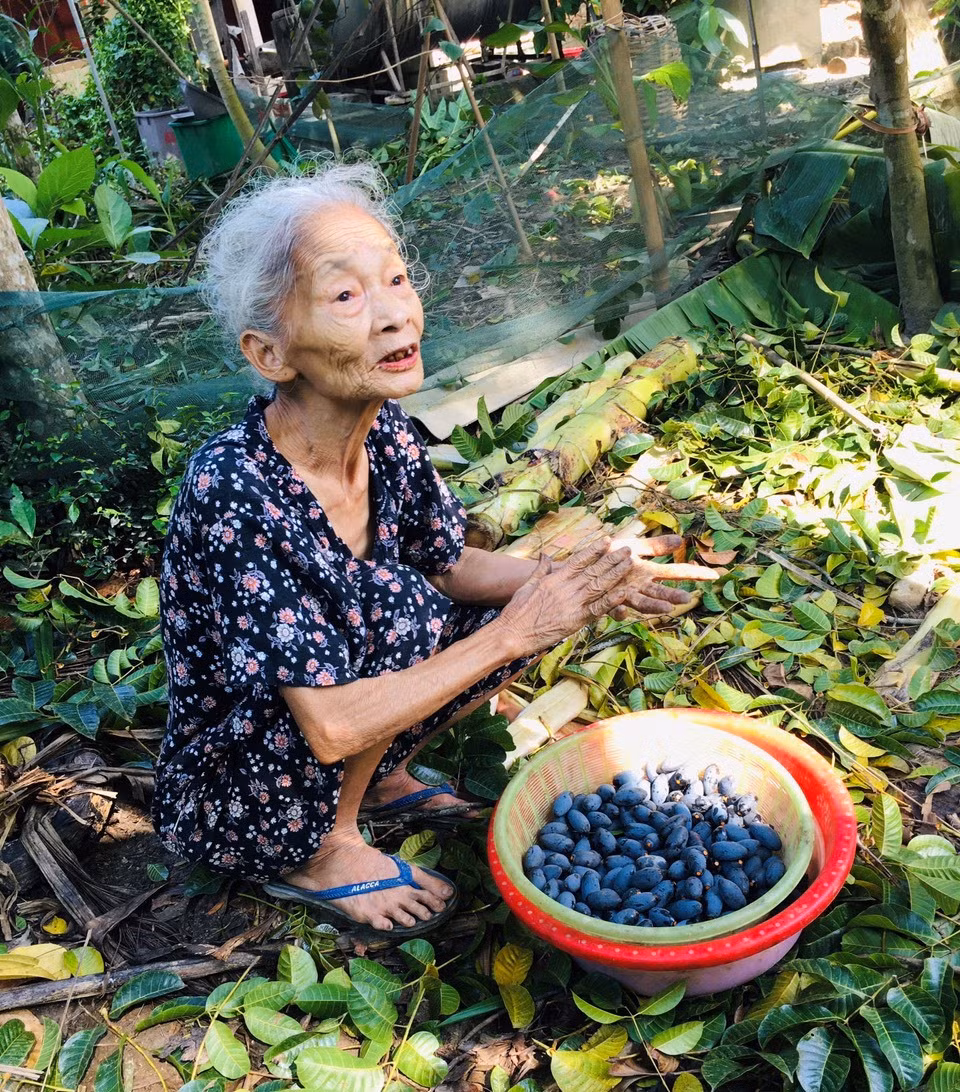 Hai thue thu qua dac san den si, nong dan dut tui tien trieu-Hinh-6