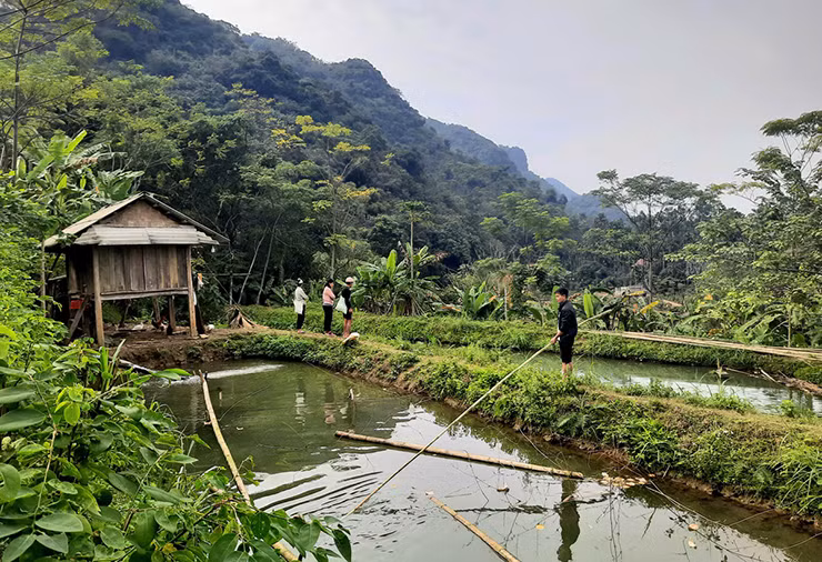 Để nuôi được loài cá dầm xanh, các hộ dân ở đây đã đào ao rộng trên 1.500m2, thiết kế cống nước ra, vào giúp đảm bảo môi trường nước trong ao luôn sạch
