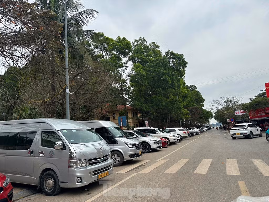 Do vậy, tuy không được phép đỗ ô tô, nhưng hiện nay vỉa hè phố Đặng Thai Mai đang bạt ngàn ô tô đỗ dày đặc.