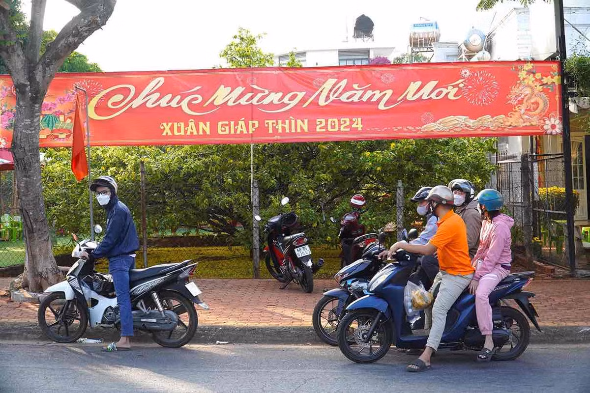 Cây mai vàng tán khổng lồ nổi tiếng ở Đồng Nai, giá tiền tỷ - Hình 7 Cay mai vang tan khong lo noi tieng o Dong Nai, gia tien ty-Hinh-7