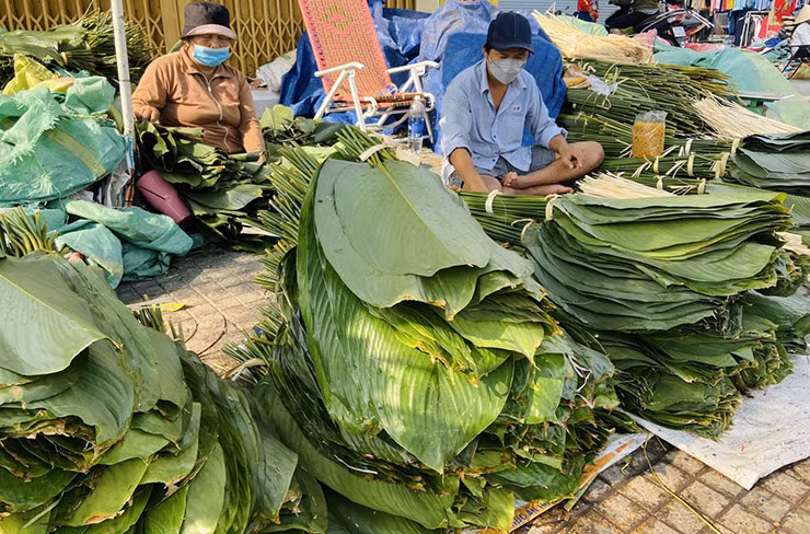 Các gia đình ở đây thu từ vài chục đến cả trăm triệu đồng/năm nhờ lá dong