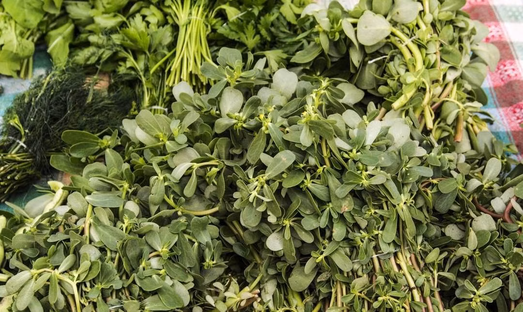 Bat ngo loai rau dai la vi thuoc truong tho, vitamin duong da
