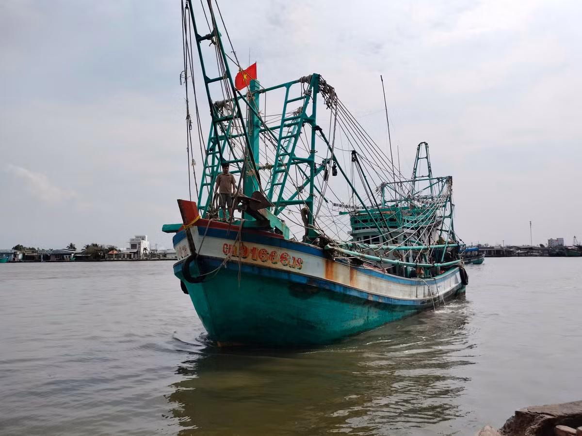 Sau hơn 20 ngày ăn Tết trên biển, tàu cá mang số hiệu CM 91666 TS do anh Huỳnh Minh Hải (ngụ huyện Trần Văn Thời, tỉnh Cà Mau) làm thuyền trưởng đã cập cảng cá thị trấn Sông Đốc mang đầy khoang tàu mực. Đây không chỉ là tín hiệu vui, còn thêm động lực cho ngư dân vươn khơi bám biển.