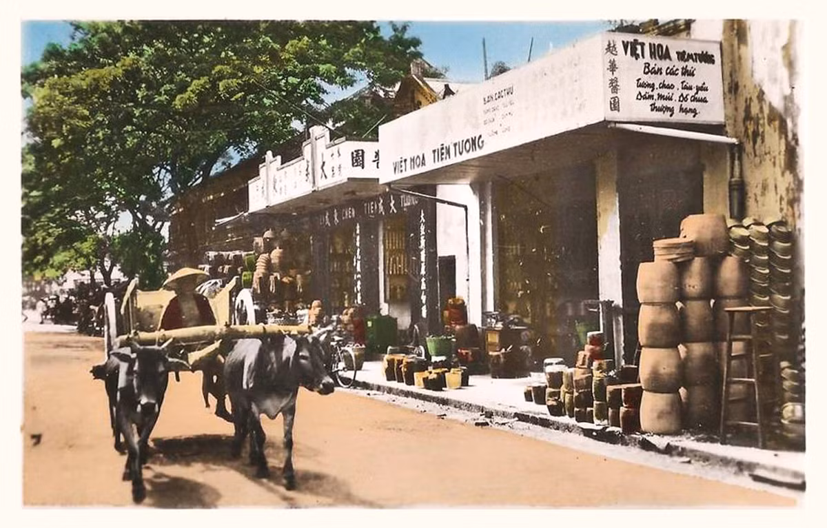 Người đánh xe bò đi qua cửa hàng đồ sành ở Sài Gòn khoảng thập niên 1940, đầu thập niên 1950.