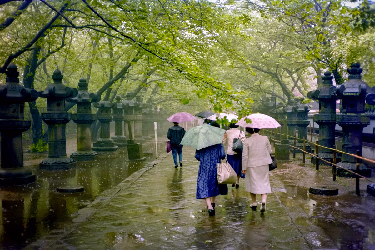 Ngày mưa ở đền Tosho-gu, Công viên Ueno.
