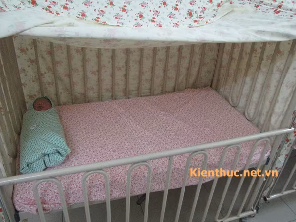 và trả về xe đẩy đợi các bạn tiếp theo tắm