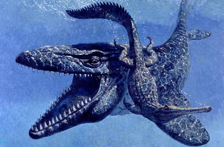 Sở dĩ nó có tên Mosasaurus (bò sát sông Meuse - một dòng sông chảy qua 3 quốc gia: Bỉ, Pháp, Hà Lan) là vì hóa thạch của loài này được tìm thấy ở khu vực này.