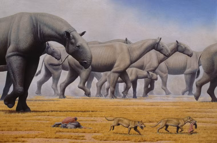 Nó còn được biết đến với những cái tên như Indricotherium hay Baluchitherium hay Indricothere.