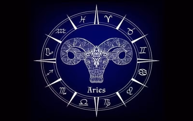  Bạch Dương - Aries (21/03 - 19/04): Nổi tiếng là một cung hoàng đạo bốc đồng và khá nông nổi, sẽ chẳng có gì bất ngờ khi Bạch Dương được cho vào danh sách những người thường vung tay quá trớn trong chi tiêu. Một khi đã thích vật gì, cung hoàng đạo này sẽ lập tức mua chúng mà chẳng cần suy nghĩ quá nhiều. 