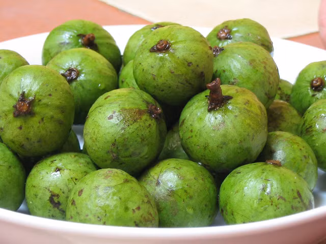 Qủa sấu tươi.
