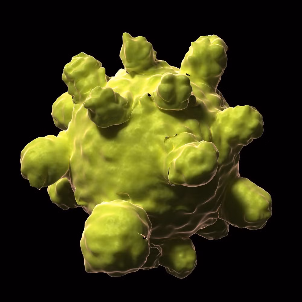 Virus bệnh sởi.