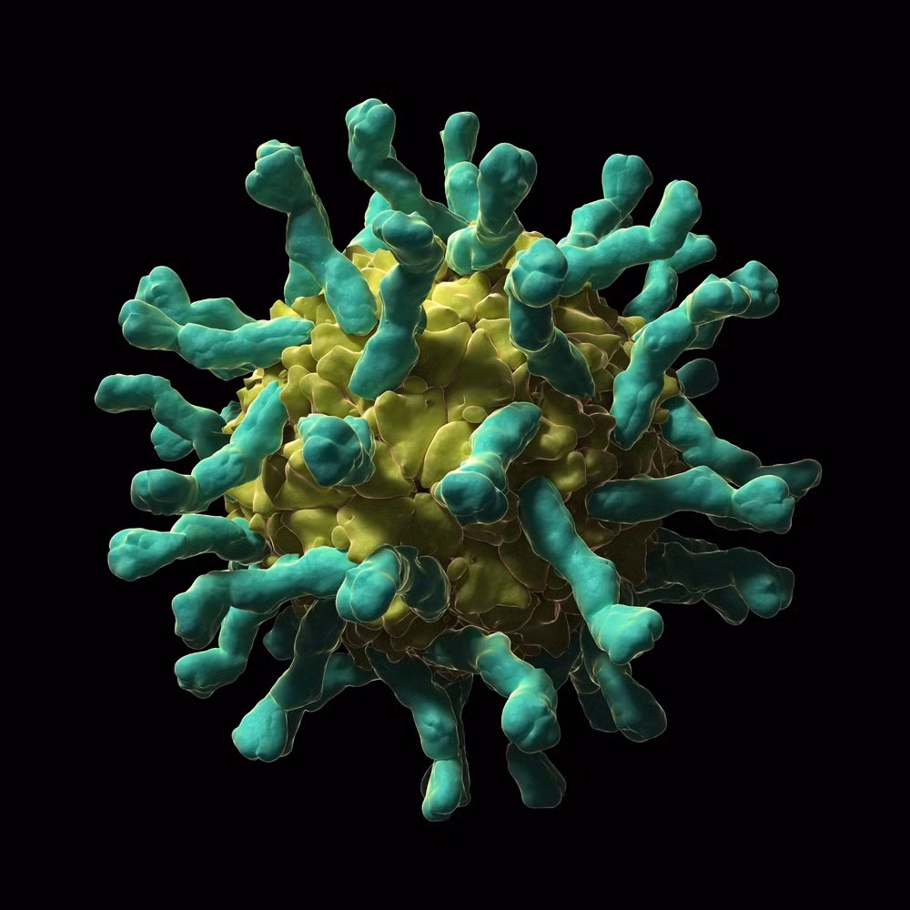 Poliovirus là loại virus, nguyên nhân gây ra bệnh bại liệt.