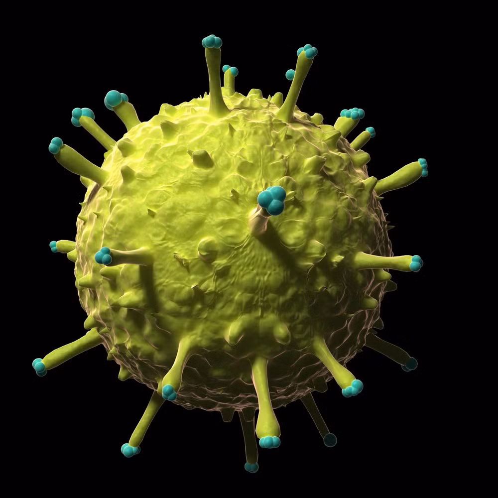 Virus cúm lợn hiện ra như một khối cầu với các gai tua tủa.