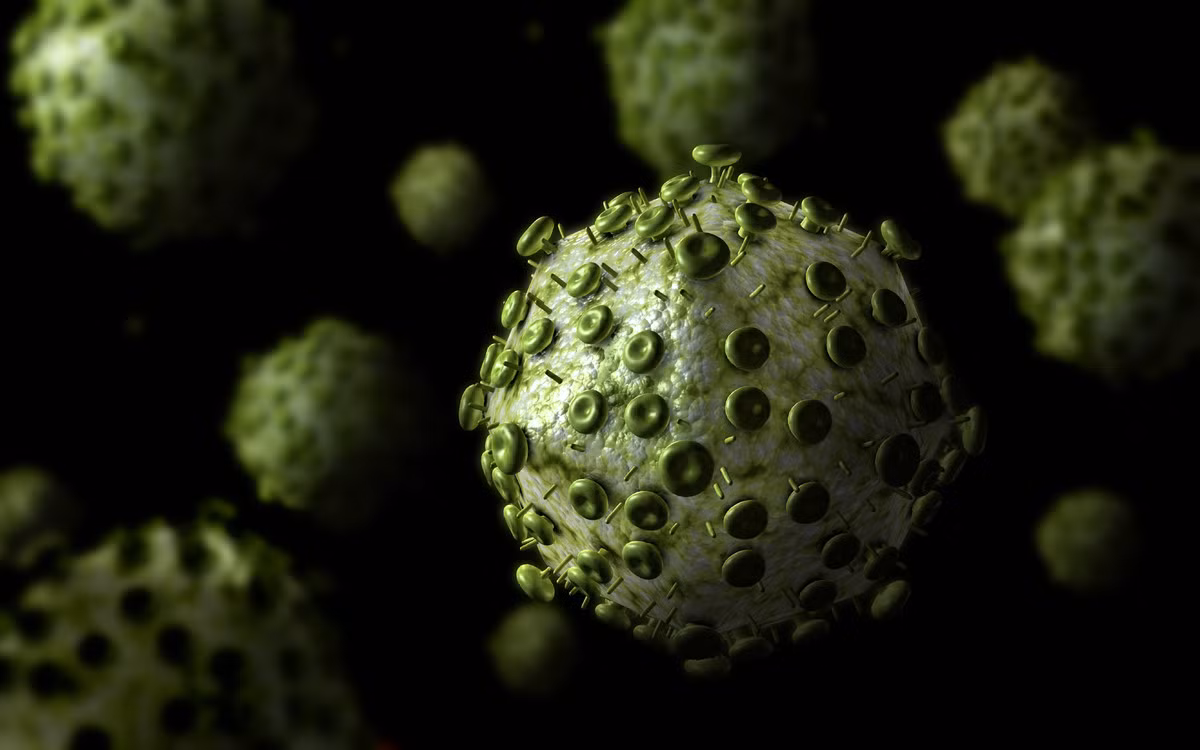 Virus suy giảm miễn dịch ở người hay còn gọi là HIV, làm hệ miễn dịch của con người bị suy giảm cấp tiến, tạo điều kiện cho những nhiễm trùng cơ hội và ung thư phát triển mạnh làm đe dọa đến mạng sống của người.