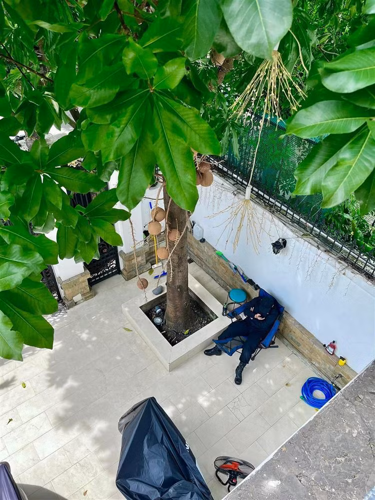 Đoàn Di Băng phải thuê nhiều vệ sĩ bảo vệ biệt phủ, lý do sốc - Hình 2 Doan Di Bang phai thue nhieu ve si bao ve biet phu, ly do soc-Hinh-2