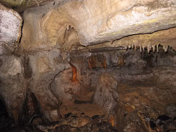 Đến cuối mùa hè năm 1817, những chuyện kỳ lạ đã xảy đến và thay đổi toàn bộ cuộc sống của gia đình ông John. Cụ thể, một số thành viên trong gia đình ông nhìn thấy những động vật có hình dáng kỳ lạ tại trang trại của họ. Khi màn đêm buông xuống, họ bắt đầu nghe thấy những tiếng gõ cửa và âm thanh kỳ lạ gõ lên tường nhà....