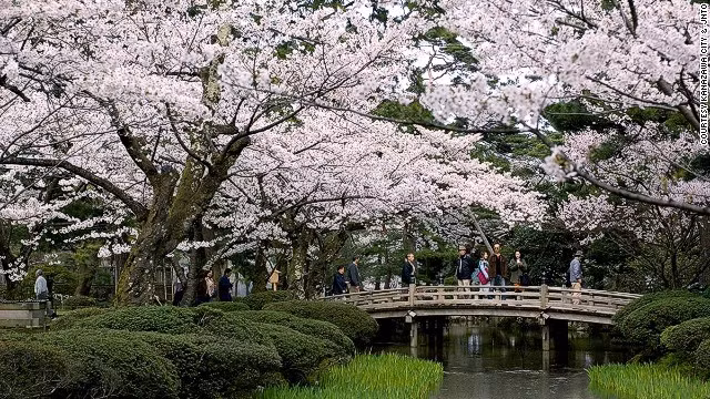 Khu vườn Kenrokuen ở Kanazawa, Nhật Bản chắc chắn không ai có thể quên được hình ảnh diễm lệ của những bông hoa anh đào rủ bóng xuống cây cầu bắc qua dòng suối trong xanh.
