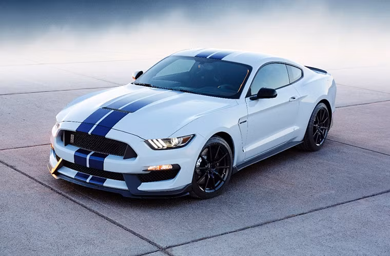 Ford Shelby GT350 sẽ trình diễn “cơ bắp” tại Detroit Auto Show - Hình 10 Ford Shelby GT350 se trinh dien “co bap” tai Detroit Auto Show-Hinh-10