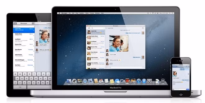 Trong khi các phiên bản Mac OS sau này được đặt tên theo các loài thú lớn thì mã tương ứng của chúng là những loại rượu vang hảo hạng.