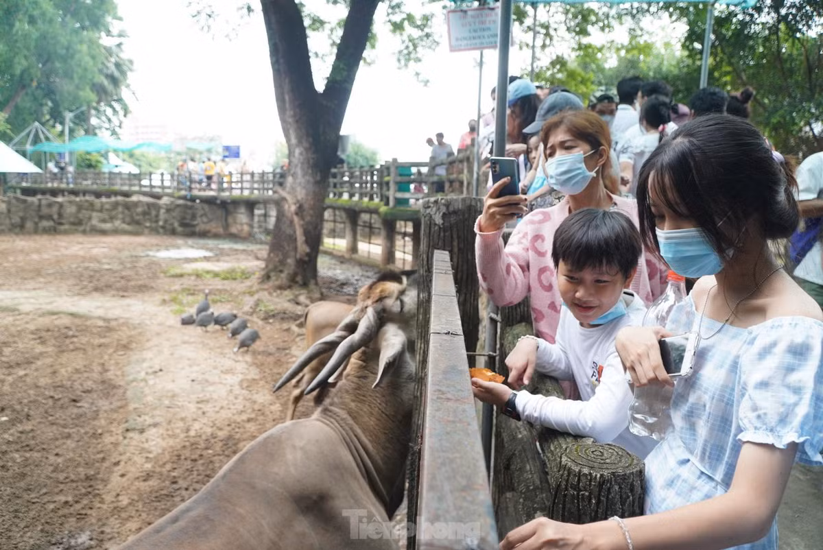 Bạn nhỏ thích thú với những động vật bên trong Thảo Cầm Viên.