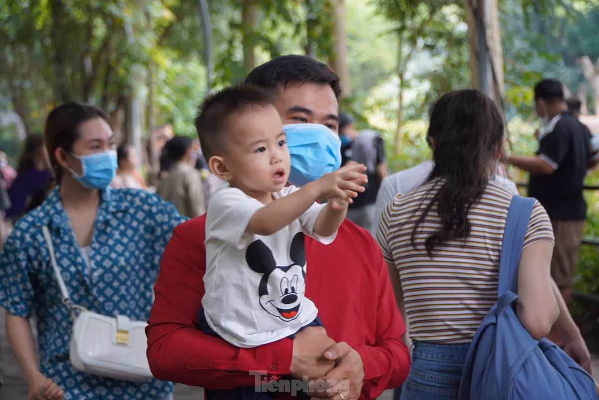 Giá vé không tăng so với ngày thường, 40.000 đồng đối với trẻ nhỏ và 60.000 đồng cho người lớn. Riêng trẻ có chiều cao dưới 1,3m được miễn vé.