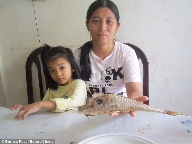 Gia đình ngư dân sẽ làm khô con cá và cất giữ vì cho đó là món quà của Thiên Chúa.