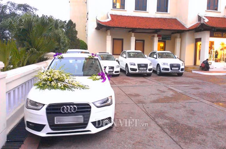 Dàn xe Audi dùng để rước dâu.