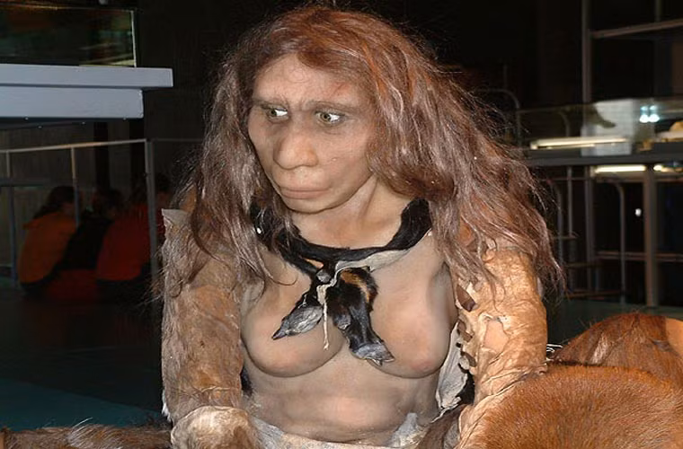 Sự biến mất của người Neanderthal hiện vẫn là dấu hỏi lớn với các nhà khoa học.