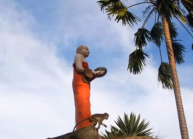 Ảnh minh họa.