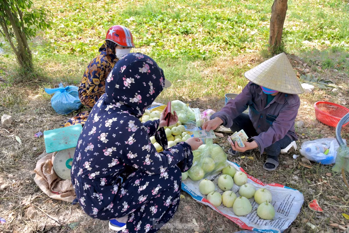 Sau khi thu hoạch, dưa hấu, dưa lê được thương lái thu mua tại ruộng. Ngoài ra, người dân còn mang lên bán cho người đi đường.